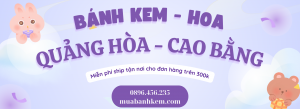 TIỆM BÁNH KEM SINH NHẬT HUYỆN QUẢNG HÒA CAO BẰNG